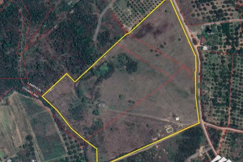 Коммерческая недвижимость в Лампхун, Таиланд №98072 9