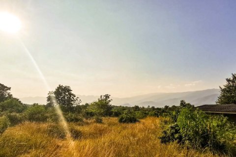 Коммерческая недвижимость в Лампхун, Таиланд №98072 7