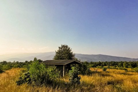 Коммерческая недвижимость в Лампхун, Таиланд №98072 4