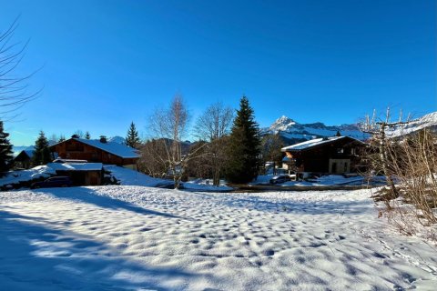 701m² Land in Crest-Voland, France No. 99699 2