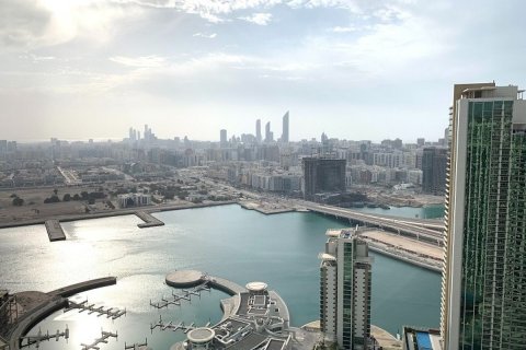 Квартира с 3 спальнями в Аль Тебин Аль Шаабия Хаузин, Вьетнам №94807 1