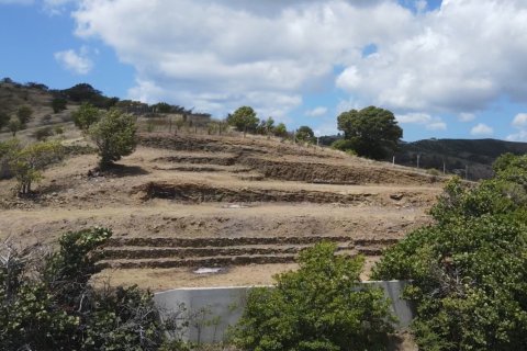 2023m² Land in Piccadilly, Antigua and Barbuda No. 64958 5