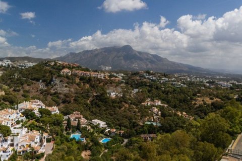 3 bedrooms Apartment in Cat Trinh, Vietnam No. 83917 24