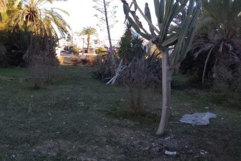 688m² Land in Nicosia, Cyprus No. 28038 2