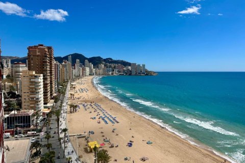 3 bedrooms Apartment in Benidorm, Spain No. 124665