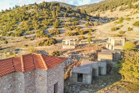 Готовый бизнес 570м² в Беотия, Греция №58337 2