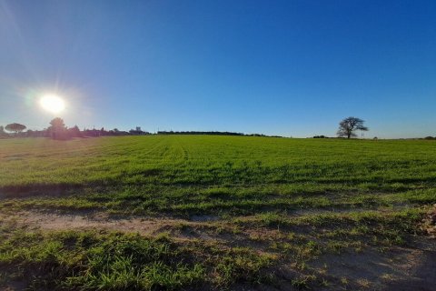 22400m² Land in Chalkidiki, Greece No. 56096 8