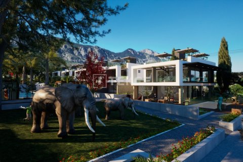 4 bedrooms Villa in Phu Ngai, Vietnam No. 13950 21