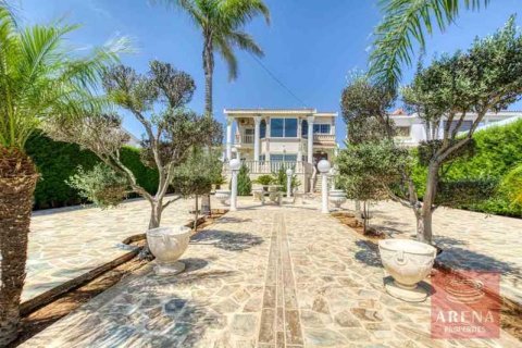 Вилла с 4 спальнями в Паралимни, Кипр №63103 2