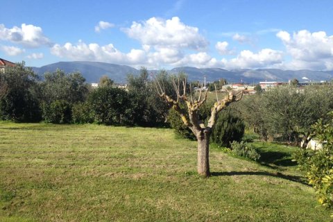 3 bedrooms House in Zakynthos, Greece No. 69516 3