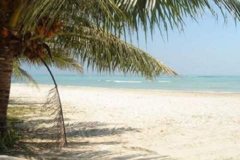 3 bedrooms Villa in Ko Samui, Thailand No. 96457 1