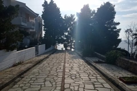 Мезонет с 3 спальнями в Халкидики, Греция №108101 17