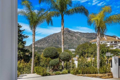 6 chambres Villa à Tan Xuan, Vietnam No. 83968 14