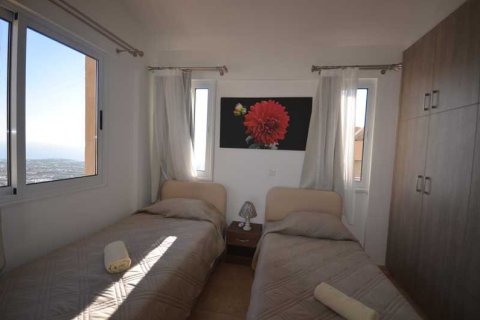 6 bedrooms House in Pegeia, Cyprus No. 78954 8