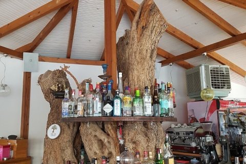 Отель, гостиница с 41 комнатой в Тасос, Греция №109227 27