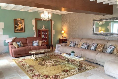 4 bedrooms Villa in Vaas, France No. 69422 14