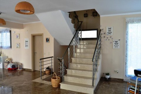 7 bedrooms Villa in Chalkidiki, Greece No. 49495 3