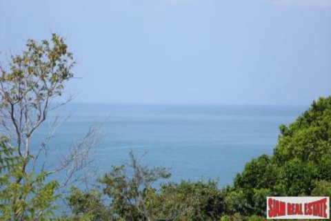 56000m² Land in Ko Lanta Yai, Thailand No. 96440 8