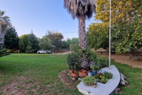 4 bedrooms House in Amaliada, Greece No. 117882 4