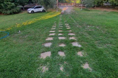 4 bedrooms House in Amaliada, Greece No. 117882 19