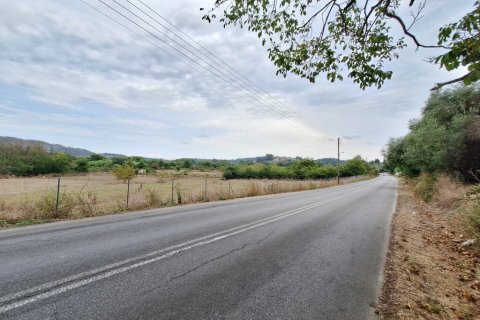 8000m² Land in Corfu, Greece No. 109308 6
