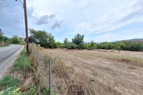 8000m² Land in Corfu, Greece No. 109308 4