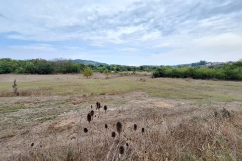 8000m² Land in Corfu, Greece No. 109308