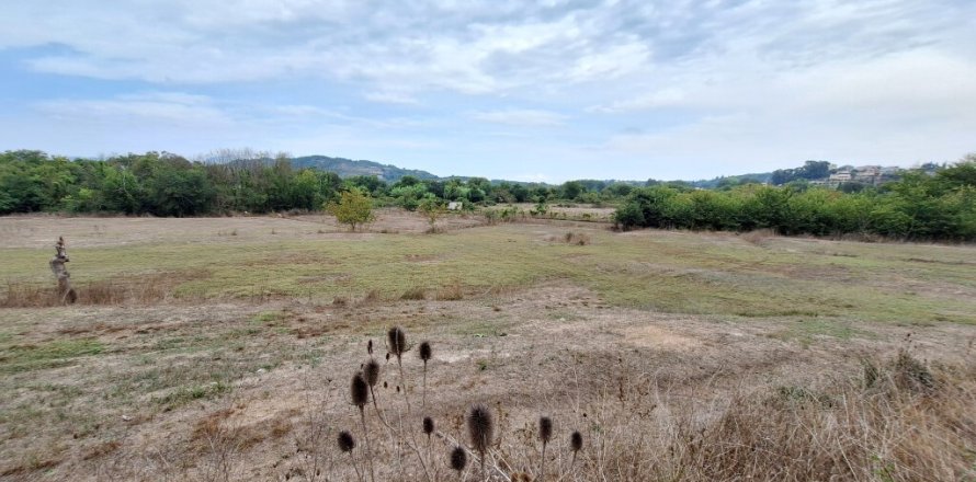 8000m² Land in Corfu, Greece No. 109308