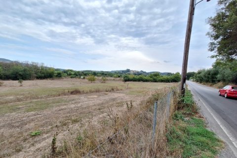 8000m² Land in Corfu, Greece No. 109308 2