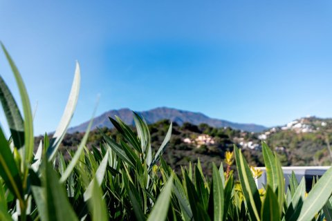 4 bedrooms Apartment in Dinh An, Vietnam No. 27426 21