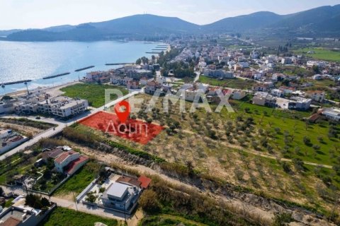Земельный участок 2192м² в Волос, Греция №81941 13