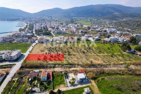 Земельный участок 2192м² в Волос, Греция №81941 11