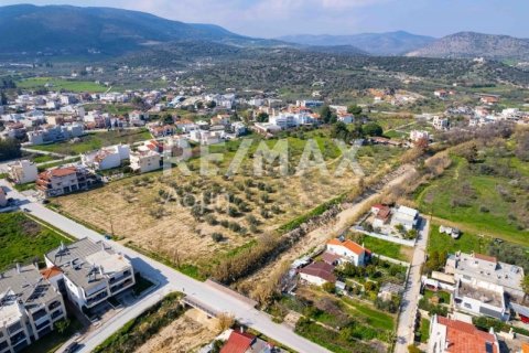 Земельный участок 2192м² в Волос, Греция №81941 8