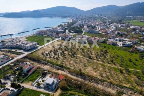 Земельный участок 2192м² в Волос, Греция №81941 12