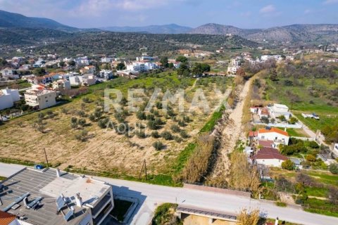 Земельный участок 2192м² в Волос, Греция №81941 6