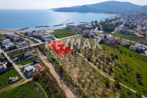 Земельный участок 2192м² в Волос, Греция №81941 15