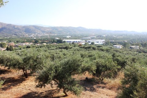 8100m² Land à Chania, Greece No. 59548 1