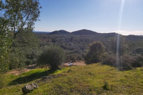 44872m² Land in Corfu, Greece No. 110092 9