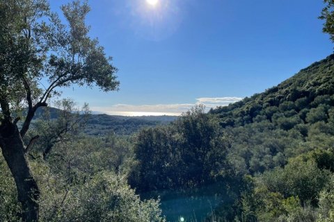 44872m² Land in Corfu, Greece No. 110092 1