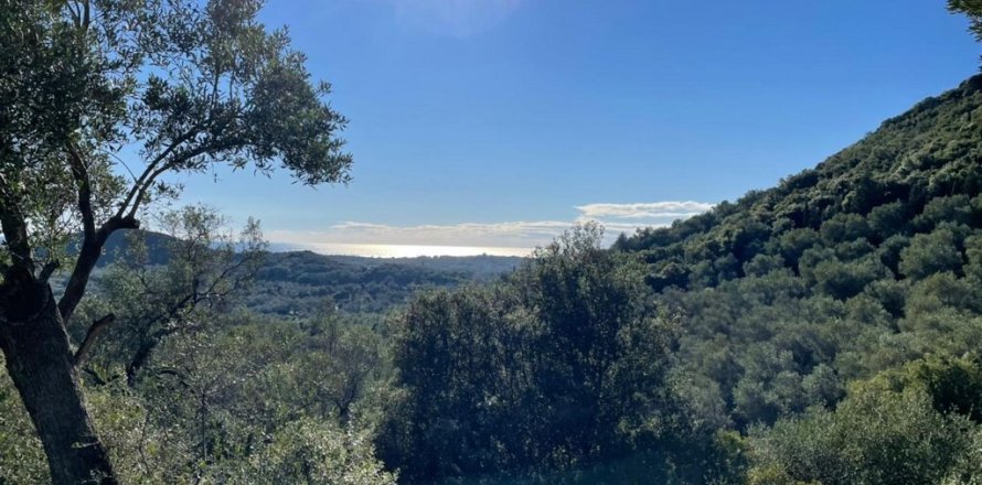 44872m² Land in Corfu, Greece No. 110092