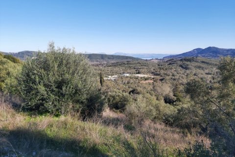 44872m² Land in Corfu, Greece No. 110092 8