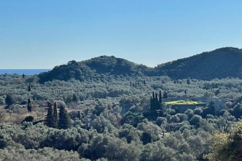 44872m² Land in Corfu, Greece No. 110092 12