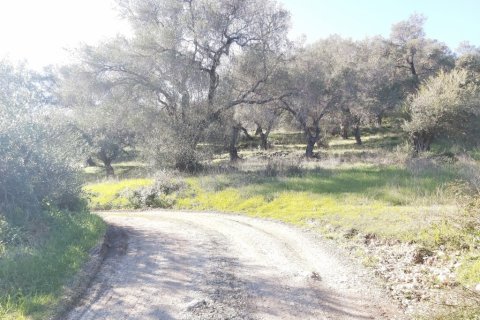 44872m² Land in Corfu, Greece No. 110092 13
