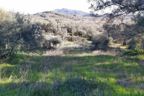 44872m² Land in Corfu, Greece No. 110092 16