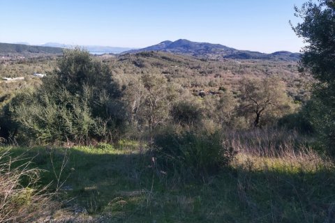 44872m² Land in Corfu, Greece No. 110092 19