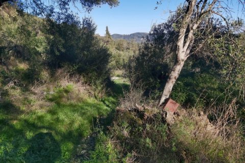 44872m² Land in Corfu, Greece No. 110092 17
