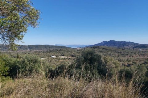 44872m² Land in Corfu, Greece No. 110092 2