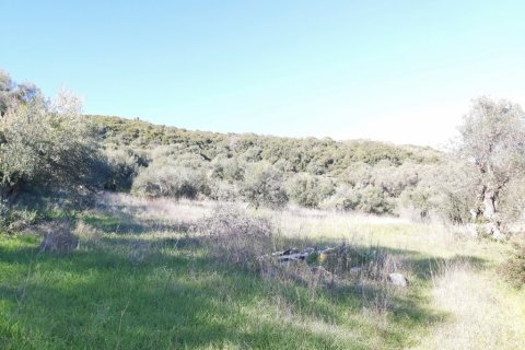 44872m² Land in Corfu, Greece No. 110092 15