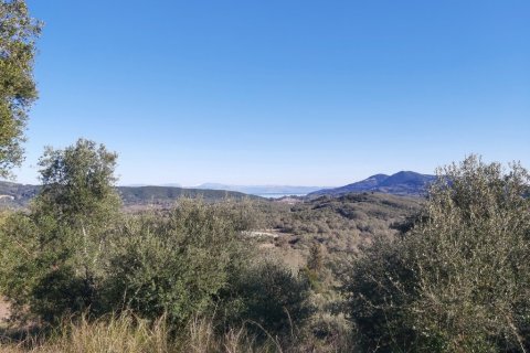 44872m² Land in Corfu, Greece No. 110092 6