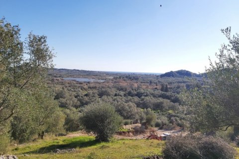 44872m² Land in Corfu, Greece No. 110092 4